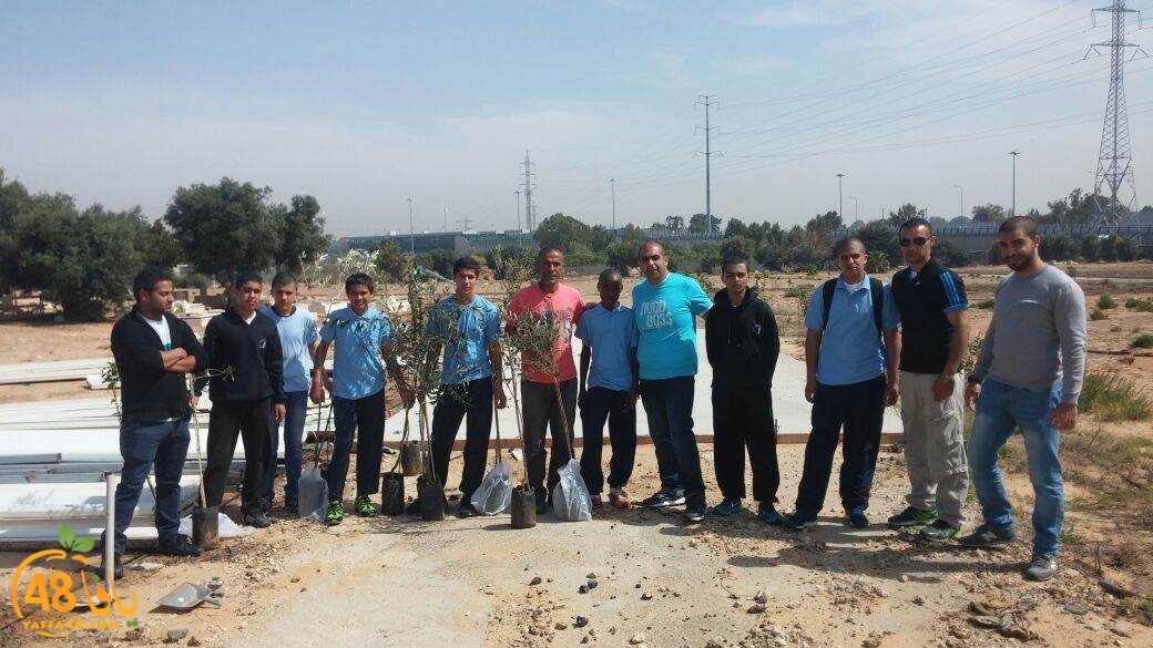 shajar tasojj (1).JPG